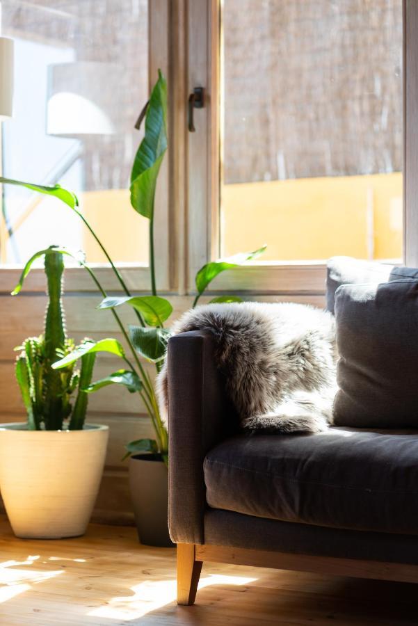 Finland House Barcelona- Ideal Familias